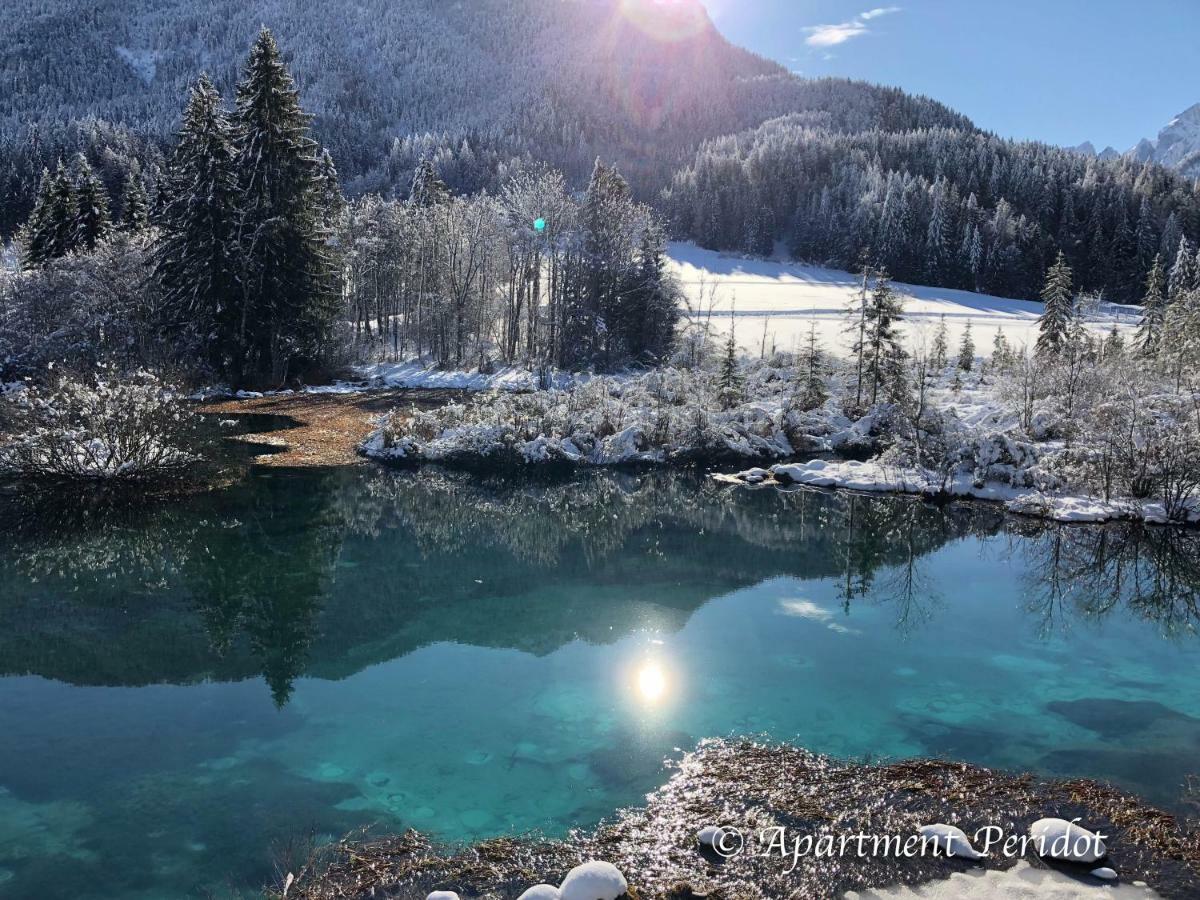 Vila Mojca Apartma Peridot - Center Kranjska Gora Bagian luar foto