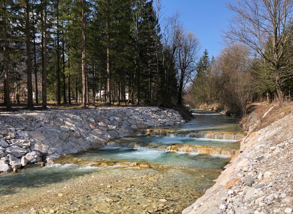 Vila Mojca Apartma Peridot - Center Kranjska Gora Bagian luar foto