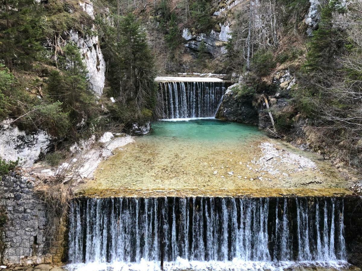 Vila Mojca Apartma Peridot - Center Kranjska Gora Bagian luar foto