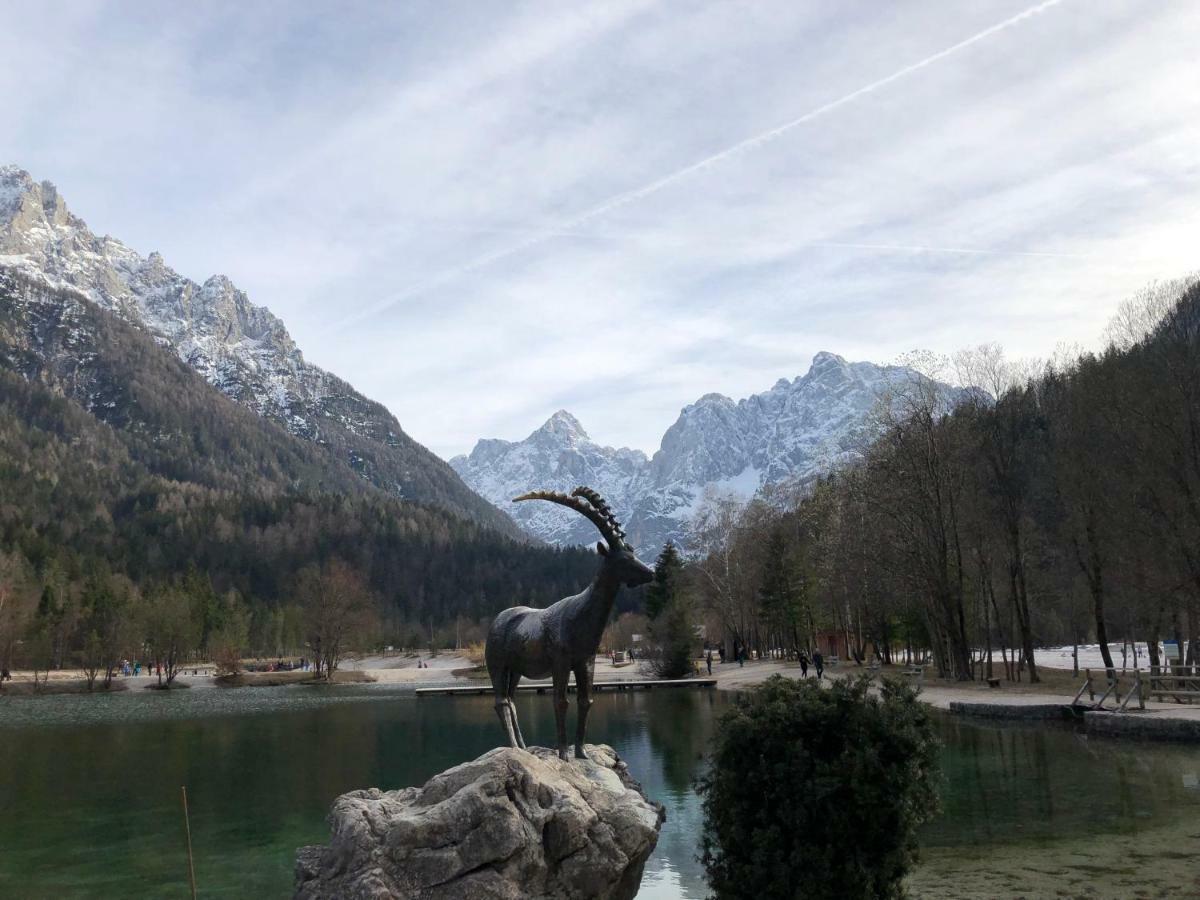 Vila Mojca Apartma Peridot - Center Kranjska Gora Bagian luar foto